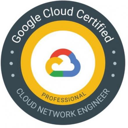 Google New Professional-Cloud-Network-Engineer Exam Vce & Reliable Professional-Cloud-Network-Engineer Exam Cram