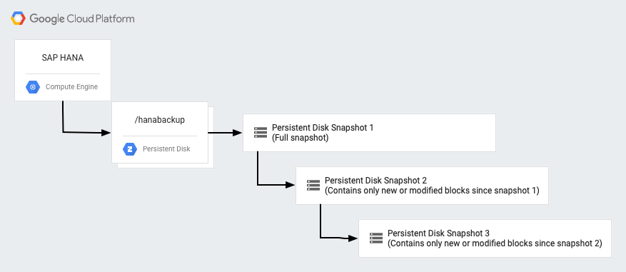 2024 Formal C-MDG-1909 Test | Trustworthy C-MDG-1909 Dumps & SAP Certified Application Associate - SAP Master Data Governance Study Plan