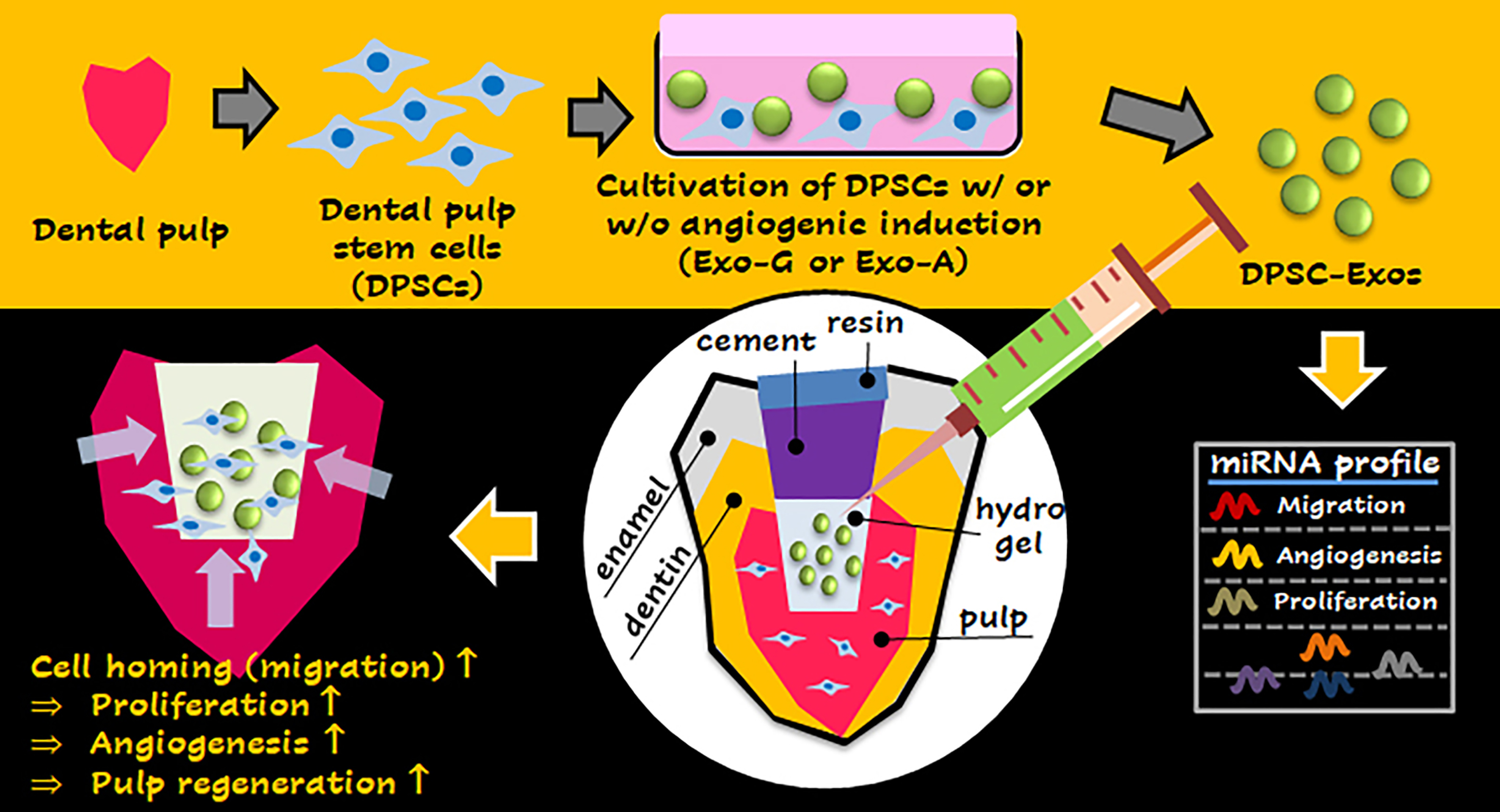 EMC D-PSC-DS-23 Test Pdf - D-PSC-DS-23 Valid Exam Testking, D-PSC-DS-23 Valid Exam Fee