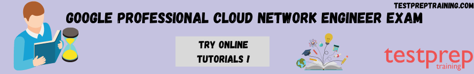 Google New Professional-Cloud-Network-Engineer Mock Test, Professional-Cloud-Network-Engineer New Dumps Files | Trustworthy Professional-Cloud-Network-Engineer Practice