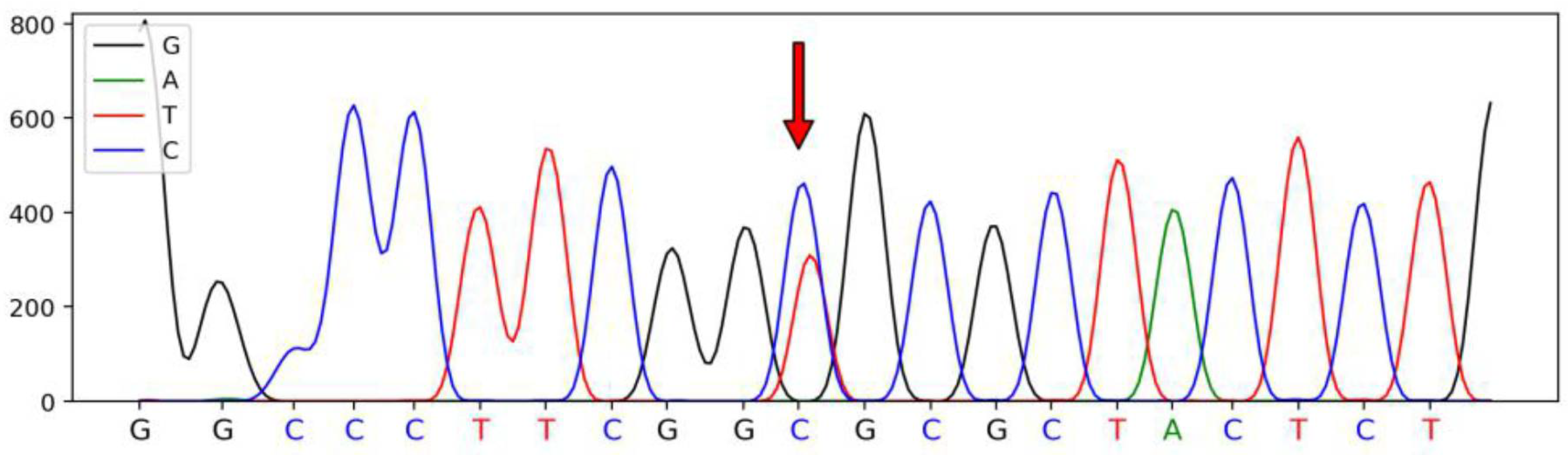 New S1000-007 Test Cost - Valid Braindumps S1000-007 Ppt, S1000-007 Valid Test Tutorial