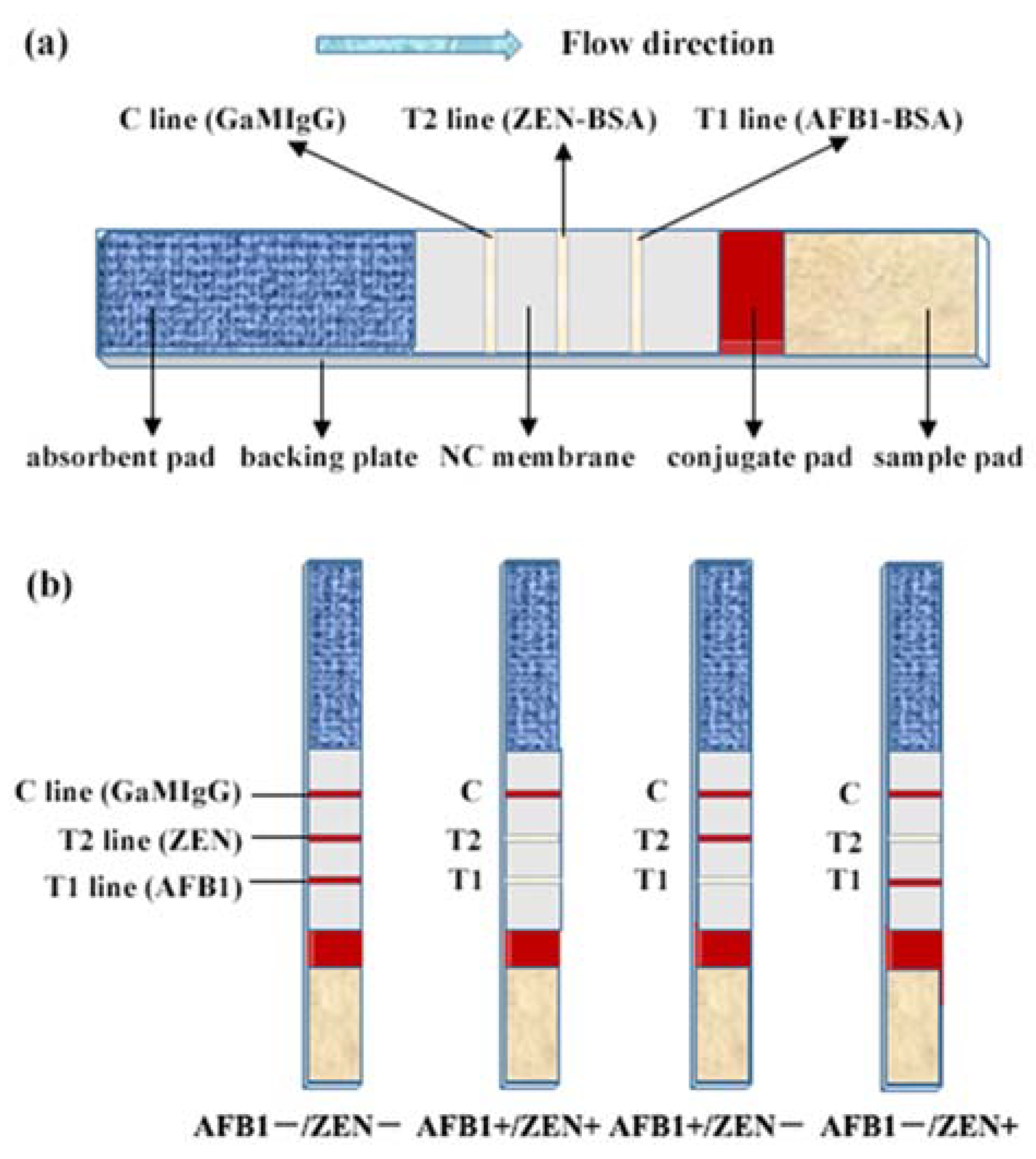 New NS0-162 Test Pass4sure - Test NS0-162 Assessment, NS0-162 Valid Braindumps