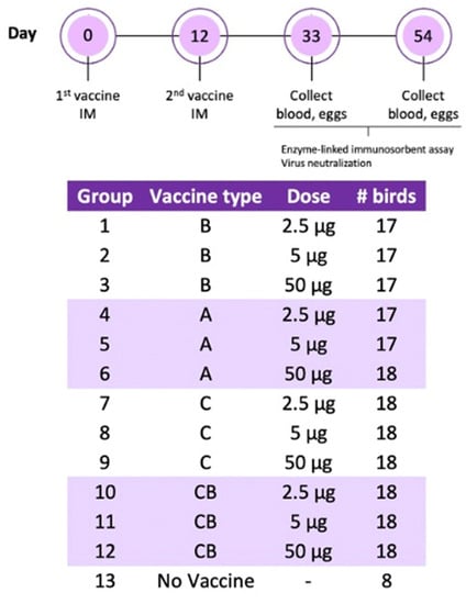 GAQM CTL-001 Practice Questions, Valid CTL-001 Exam Materials