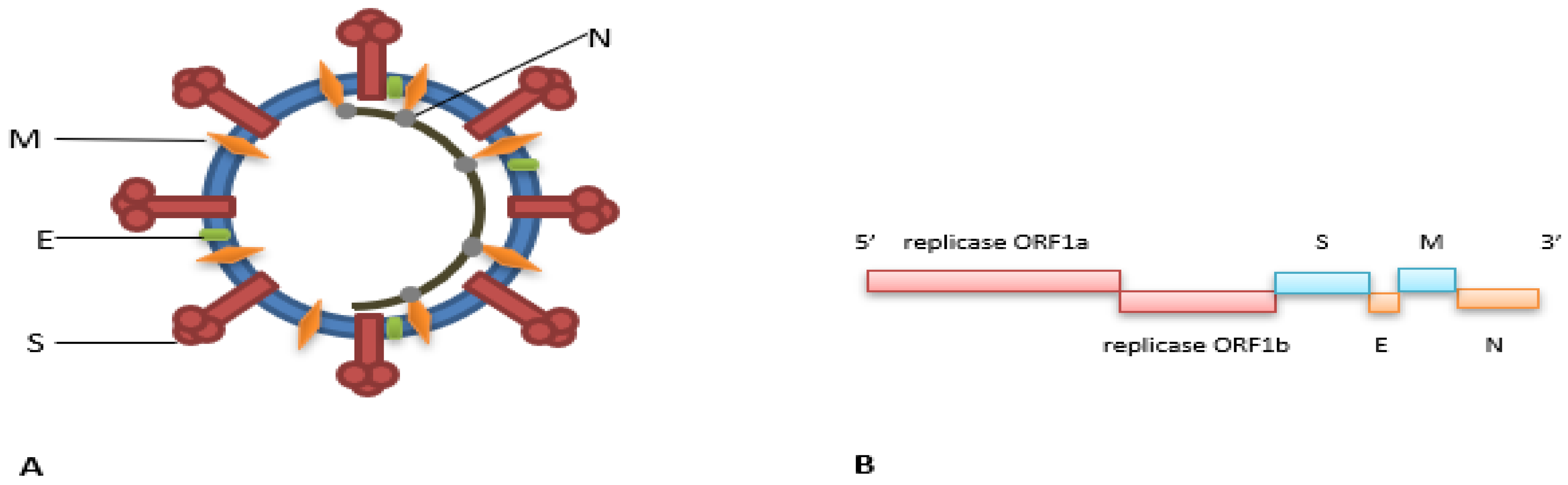 D-CSF-SC-23 Reliable Dumps Ppt - D-CSF-SC-23 Trustworthy Source, Study D-CSF-SC-23 Test