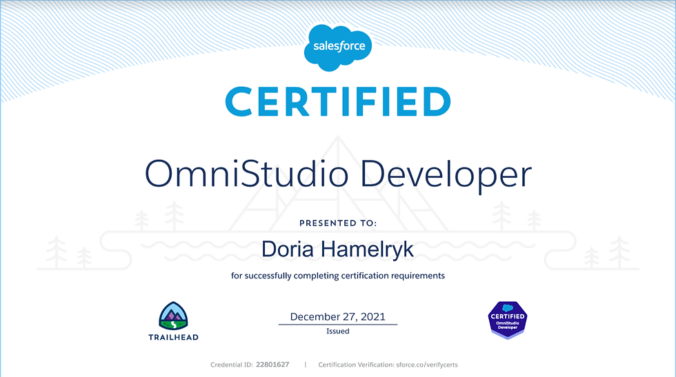 OmniStudio-Developer Cost Effective Dumps & OmniStudio-Developer High Passing Score - Related OmniStudio-Developer Exams