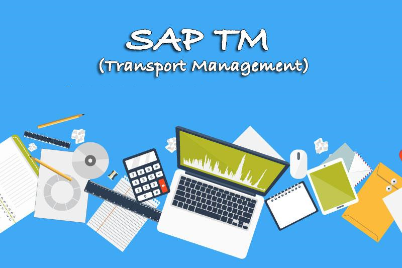 C_TS412_2021 Trustworthy Practice - Exam C_TS412_2021 Pass Guide, Test C_TS412_2021 Score Report