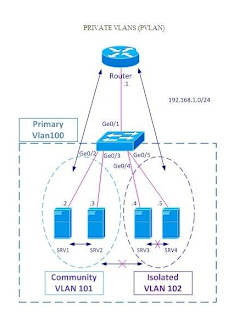 Test 200-201 Free, Training 200-201 Pdf | 200-201 Reliable Test Tutorial