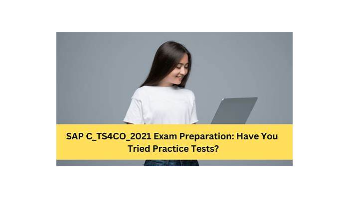 C-TS4CO-2021 Latest Exam Cost - C-TS4CO-2021 Reliable Test Test, New C-TS4CO-2021 Braindumps Questions