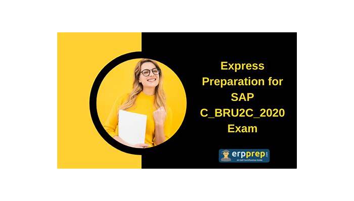 Exam C-BRU2C-2020 Experience | New C-BRU2C-2020 Braindumps Ebook & C-BRU2C-2020 Trustworthy Exam Torrent