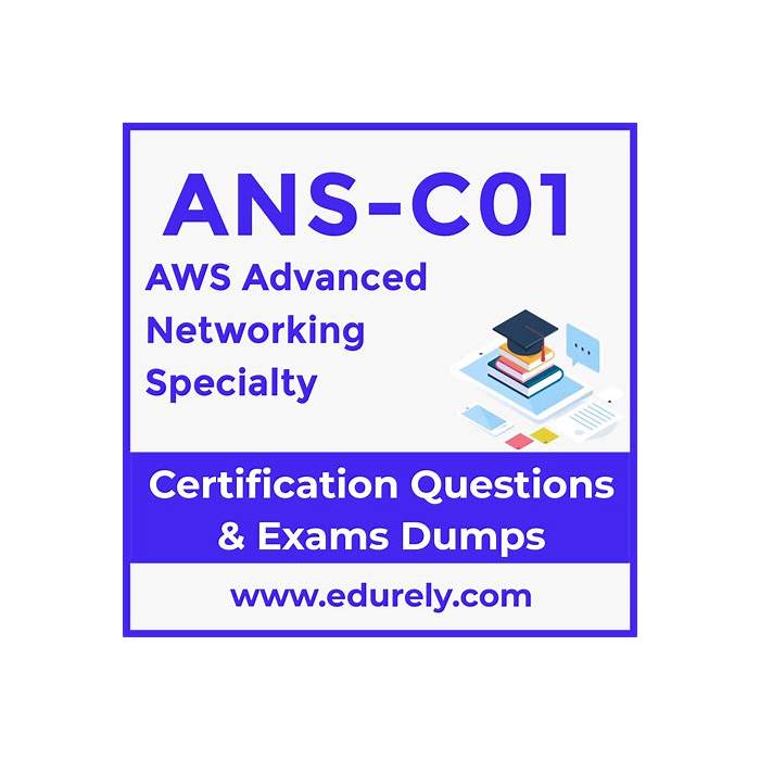 Amazon Exam ANS-C01 Torrent, ANS-C01 Intereactive Testing Engine