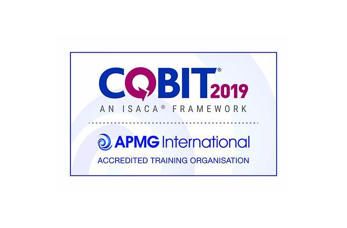 COBIT-2019 Valid Test Guide - ISACA Valid COBIT-2019 Exam Dumps