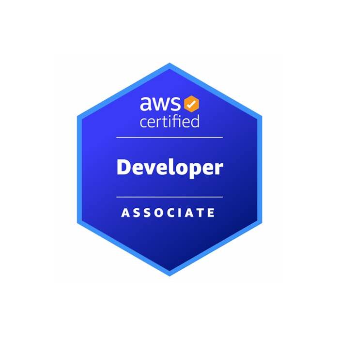 Amazon AWS-Certified-Developer-Associate Valid Exam Cram, AWS-Certified-Developer-Associate Latest Dumps Pdf