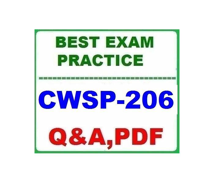 CWSP-206 Questions Pdf, CWSP-206 Valid Exam Pattern | CWSP-206 Latest Real Exam