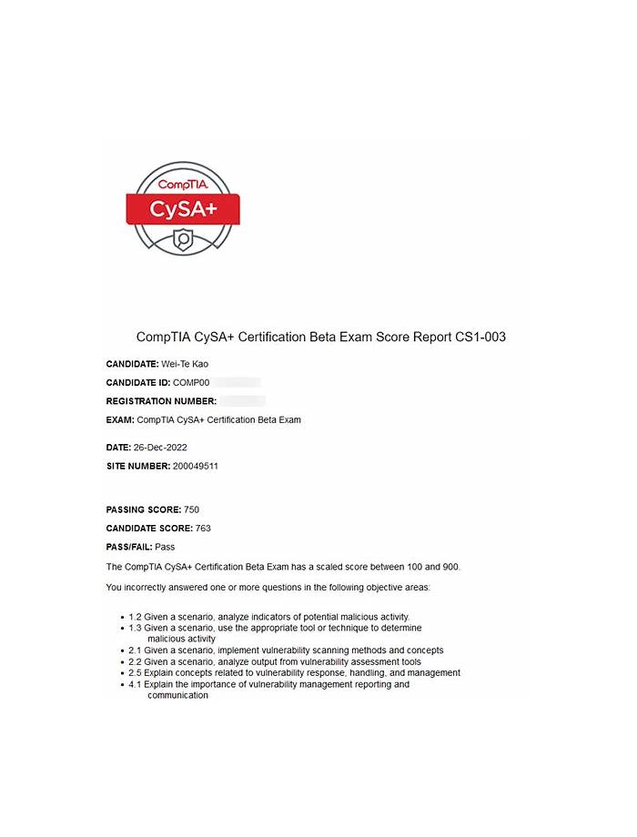 CompTIA CS1-003 Training Solutions - New CS1-003 Dumps Sheet