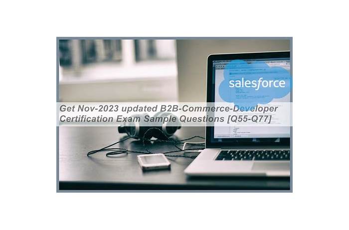 Exam B2B-Commerce-Developer Collection - New B2B-Commerce-Developer Test Format, Valid B2B-Commerce-Developer Exam Sample