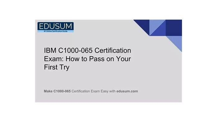 Braindumps C1000-065 Downloads, IBM Exam C1000-065 Fee | New C1000-065 Practice Materials