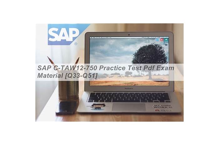 C_TAW12_750 Exam Dump - Online C_TAW12_750 Training Materials, Reliable C_TAW12_750 Exam Camp