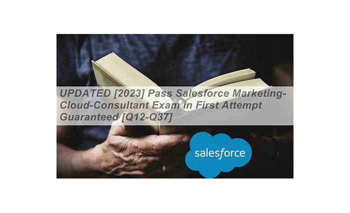 Marketing-Cloud-Consultant Valid Exam Objectives & Marketing-Cloud-Consultant Reliable Test Price