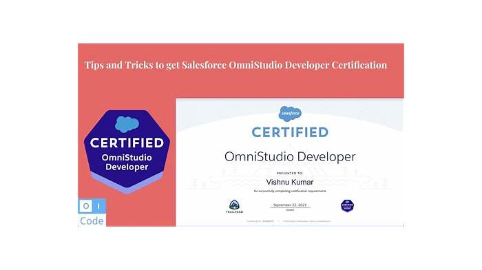 OmniStudio-Developer Exam Vce Format, OmniStudio-Developer Testking Learning Materials