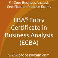 Questions ECBA Exam - Reliable ECBA Test Answers, Test ECBA Pattern