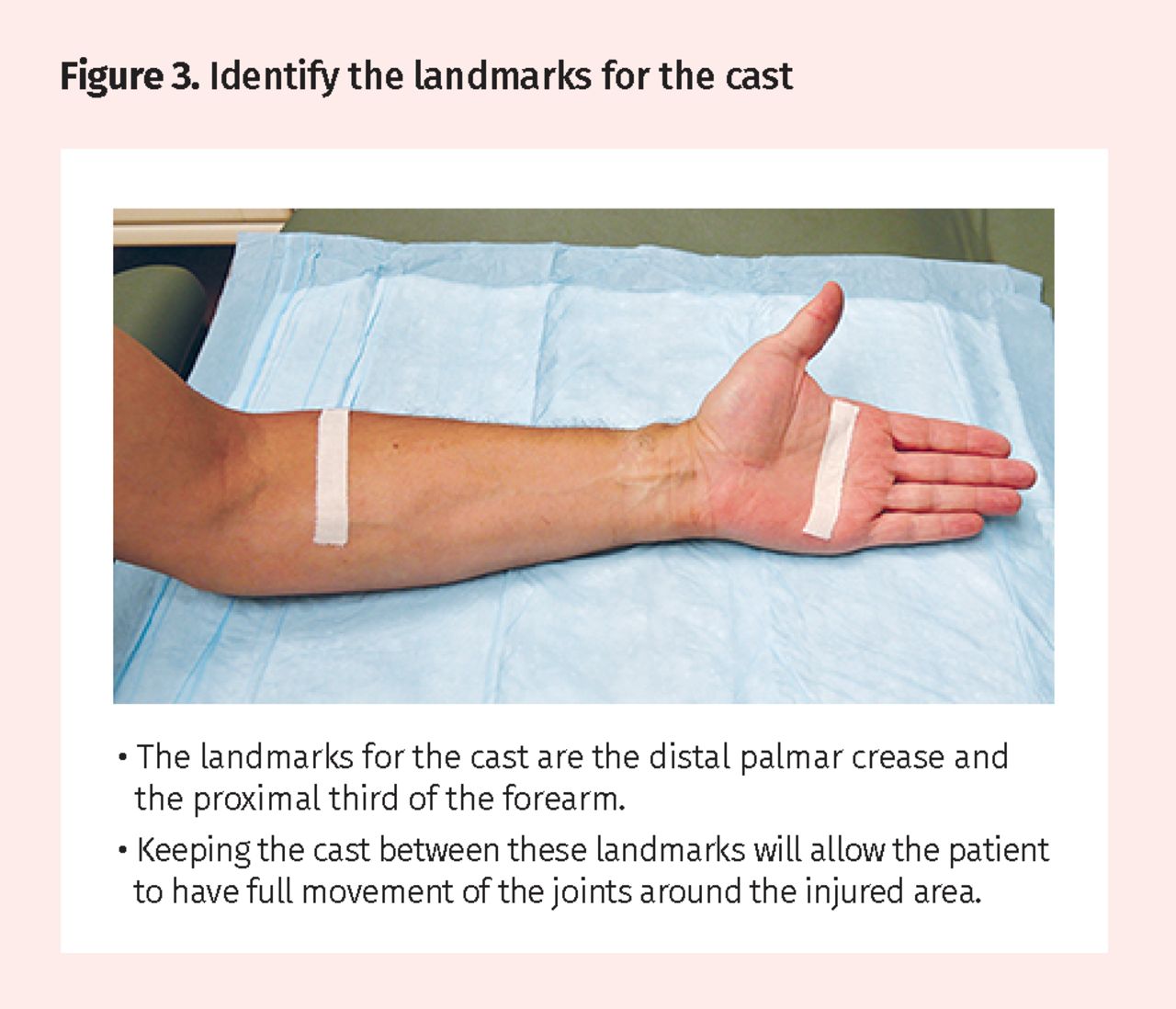 CAST Authentic Exam Questions & New CAST Dumps Ppt - CAST Practice Exam