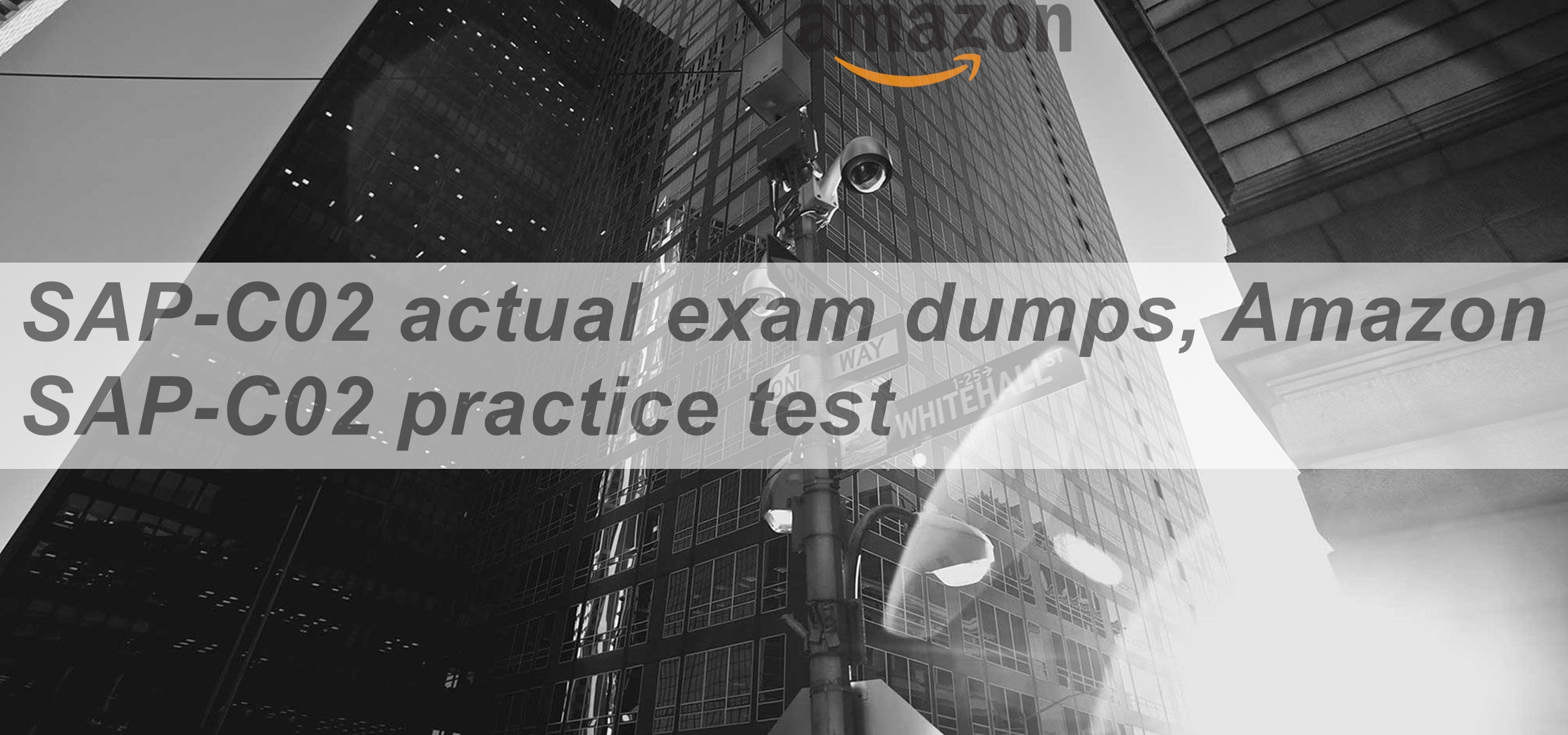 Valid SAP-C02 Exam Sample - Amazon SAP-C02 Test Certification Cost