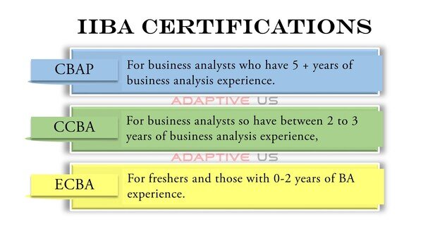 CCBA Study Group | CCBA Vce Files & CCBA Examinations Actual Questions