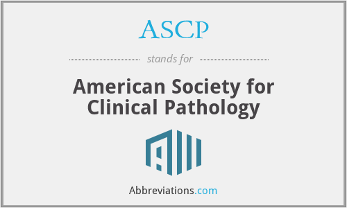 New ASCP-MLT Exam Review & ASCP Updated ASCP-MLT CBT - Valid ASCP-MLT Test Topics