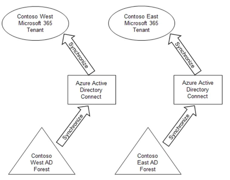 Study Identity-and-Access-Management-Architect Reference & Latest Identity-and-Access-Management-Architect Exam Fee - Identity-and-Access-Management-Architect Valid Guide Files