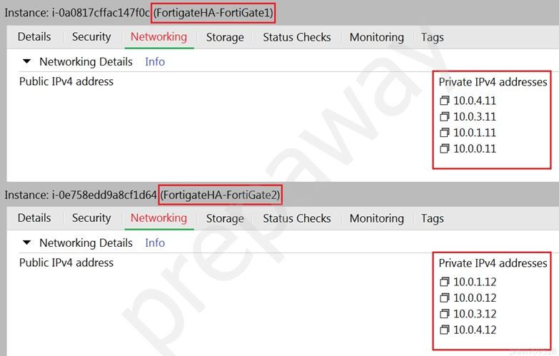 Fortinet New NSE7_PBC-7.2 Braindumps | NSE7_PBC-7.2 Latest Practice Materials