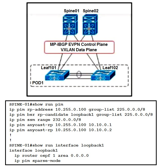 Cisco Braindumps 350-601 Downloads & 350-601 Exam Braindumps