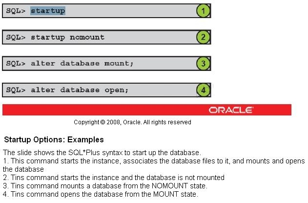 Oracle 1Z0-083 Latest Exam Vce | Reliable 1Z0-083 Test Guide