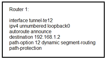 Cisco 300-510 New Braindumps Book, 300-510 Dumps Cost