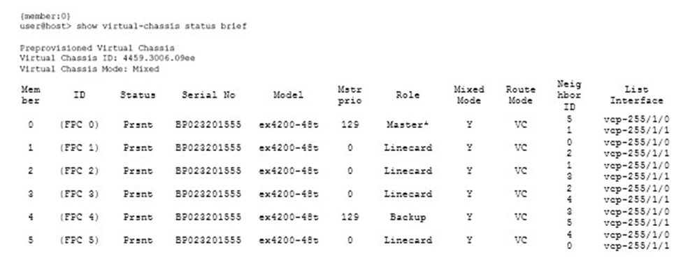 Guide JN0-682 Torrent | Latest Braindumps JN0-682 Book & Instant JN0-682 Download