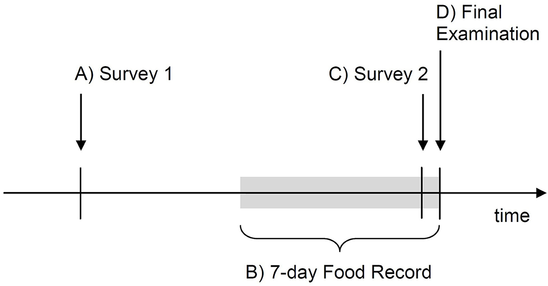 New DP-420 Dumps Questions - Reliable DP-420 Exam Simulations