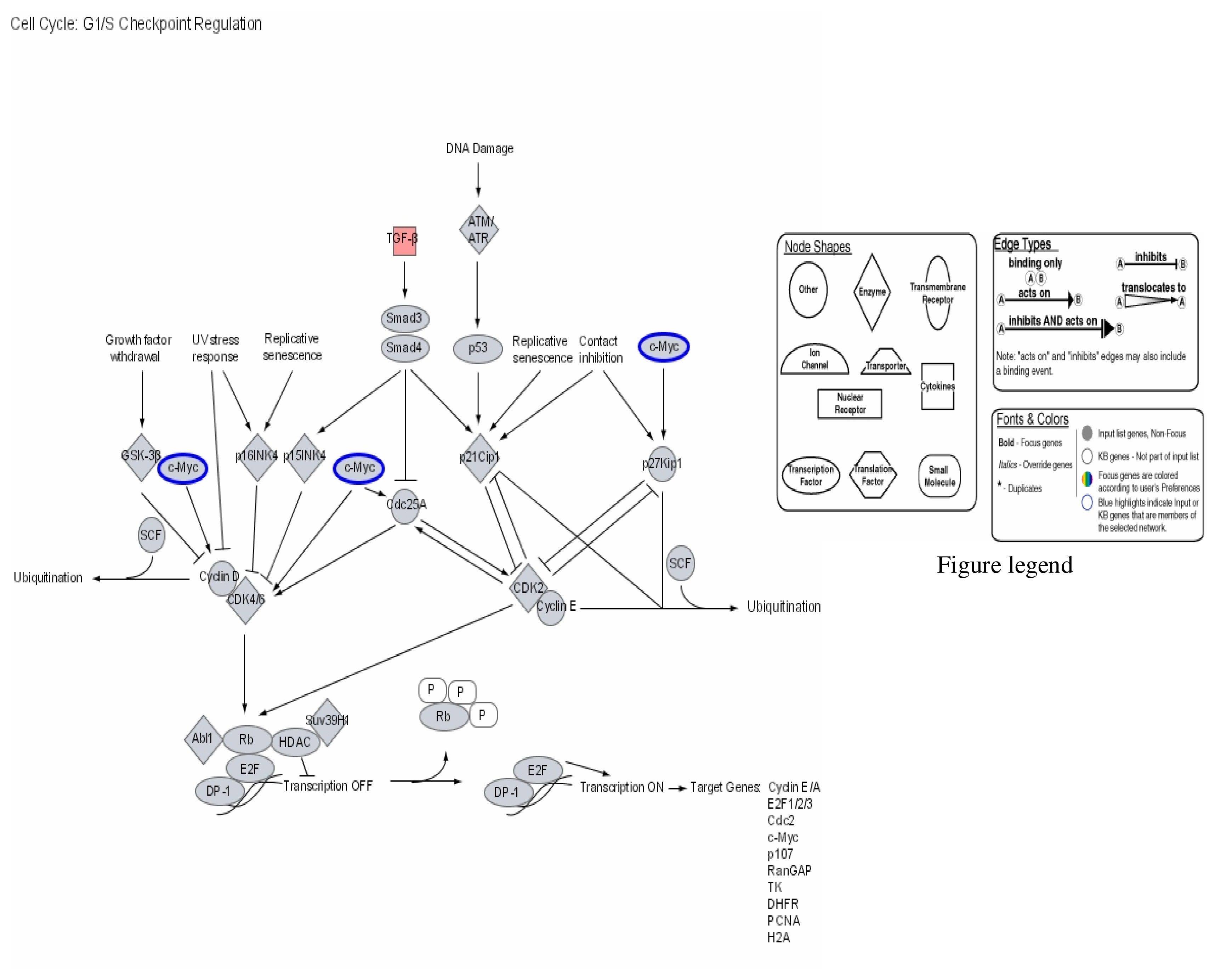 Exam C-IBP-2211 Question - C-IBP-2211 Interactive Course, C-IBP-2211 New Dumps