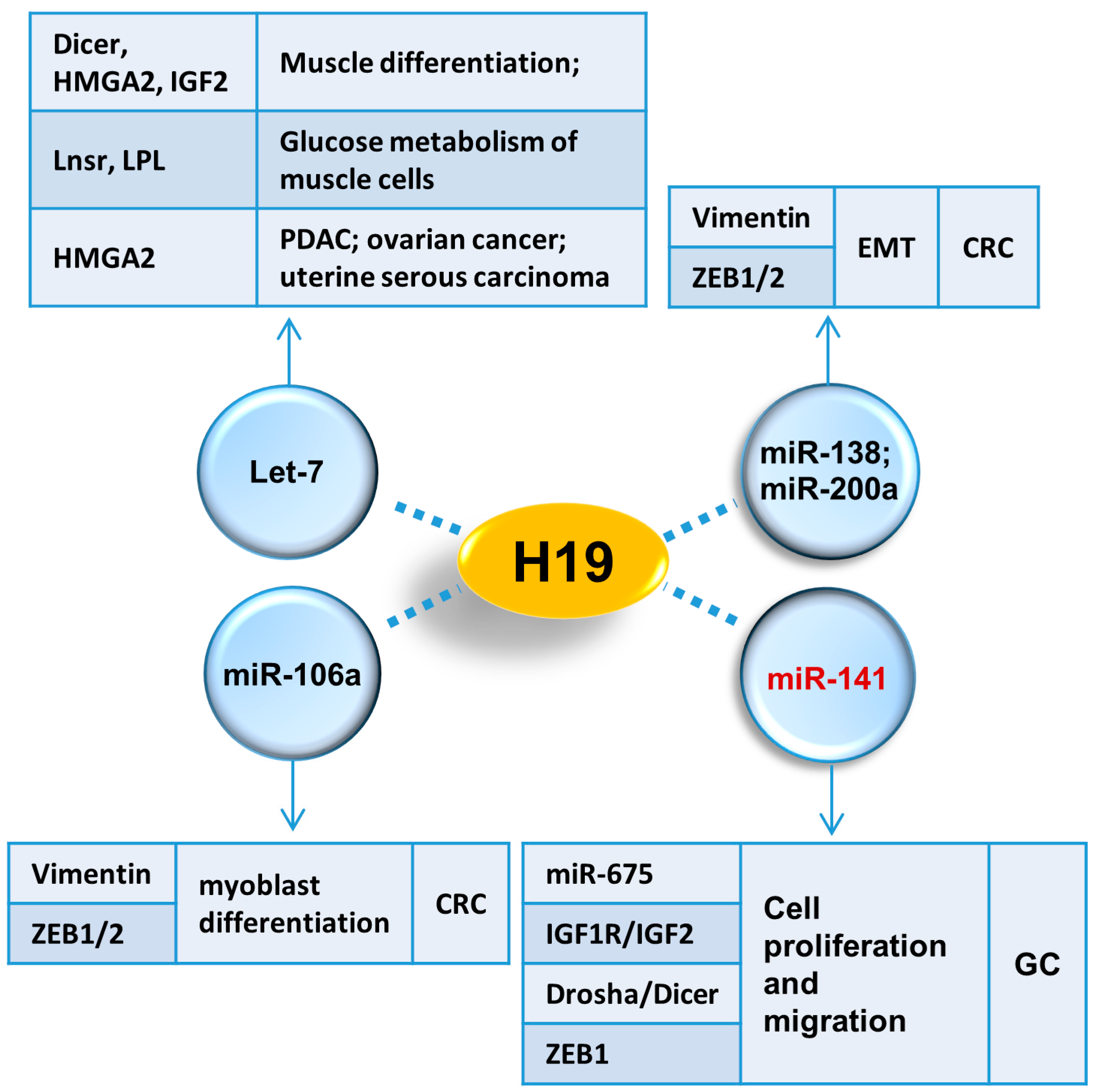 H19-315 Passguide | H19-315 Training Online & Exam H19-315 Format