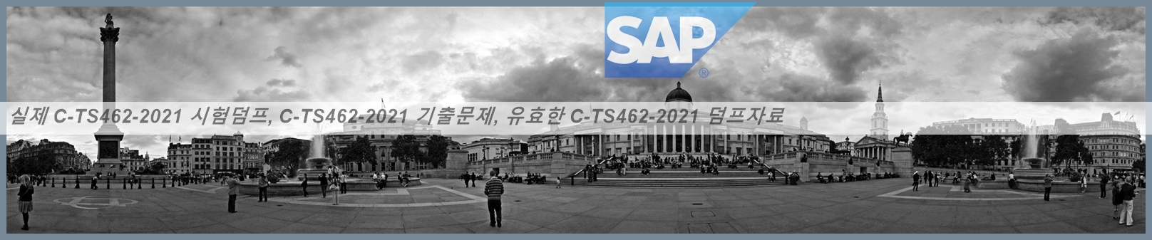 SAP Exam C-TS462-2021 Registration - C-TS462-2021 Test Topics Pdf