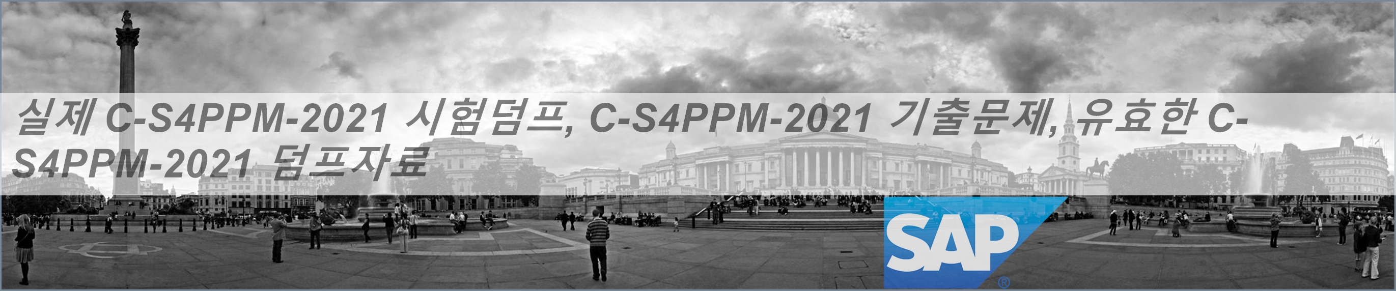 Reliable C-S4PPM-2021 Practice Questions, SAP Exam C-S4PPM-2021 Online