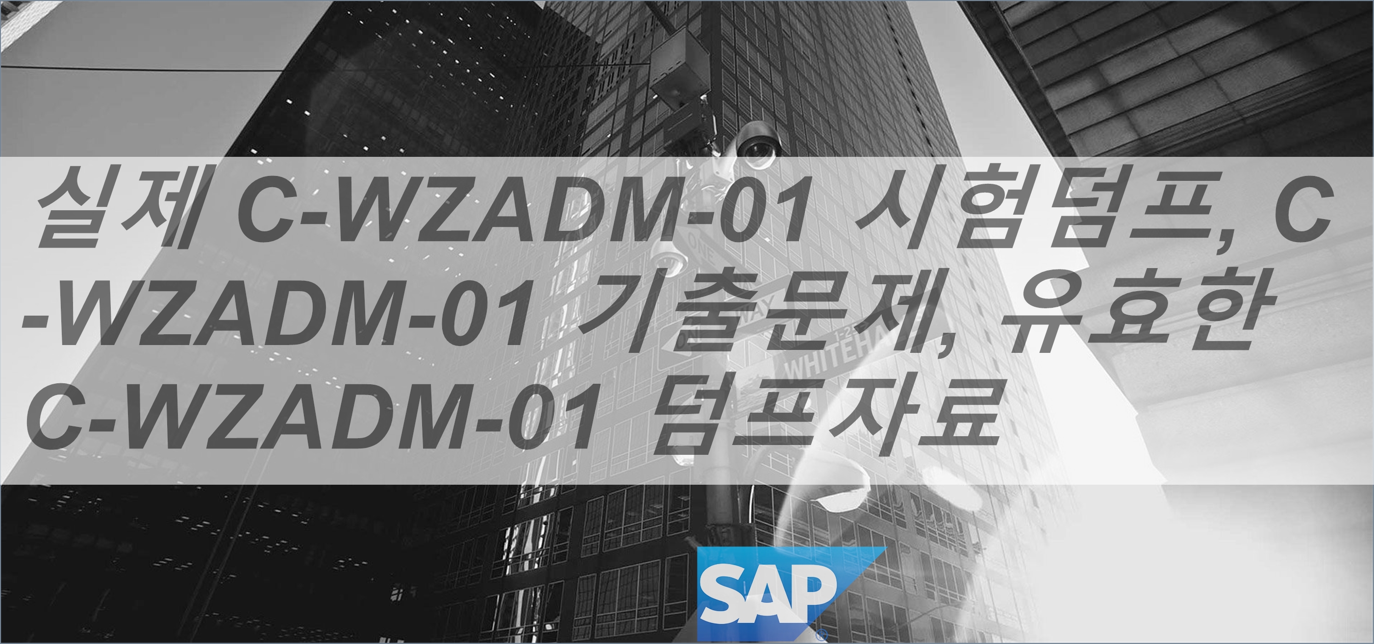 C-WZADM-01 Learning Mode & Dump C-WZADM-01 Collection - C-WZADM-01 Reliable Test Syllabus