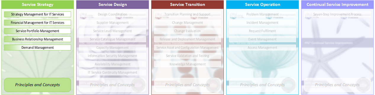 2025 ITIL-4-Transition Valid Test Cram, Hot ITIL-4-Transition Spot Questions | Practice ITIL 4 Managing Professional Transition Test Engine