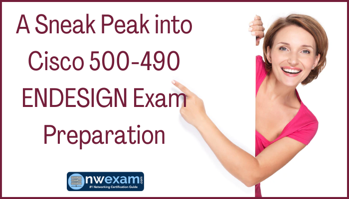 500-490 Exam Topics | Valid 500-490 Test Question & 500-490 Reliable Exam Vce