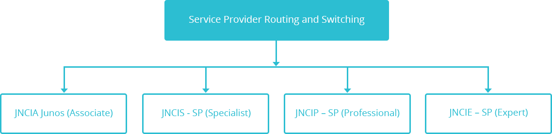 New JN0-664 Dumps | Juniper JN0-664 New Study Plan & JN0-664 Preparation