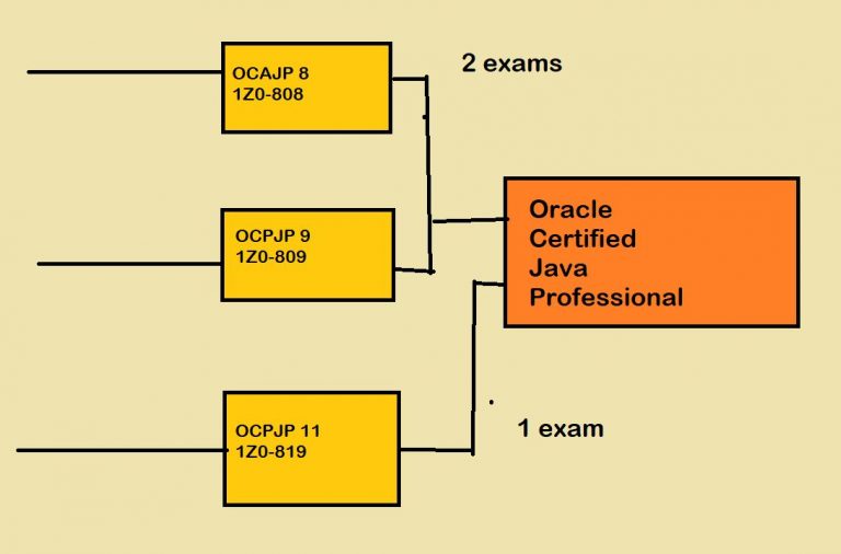 Oracle 1Z0-819 Reliable Test Dumps & 1Z0-819 Valid Test Online