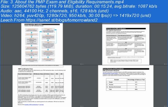 PMI PfMP Practice Test & Relevant PfMP Questions