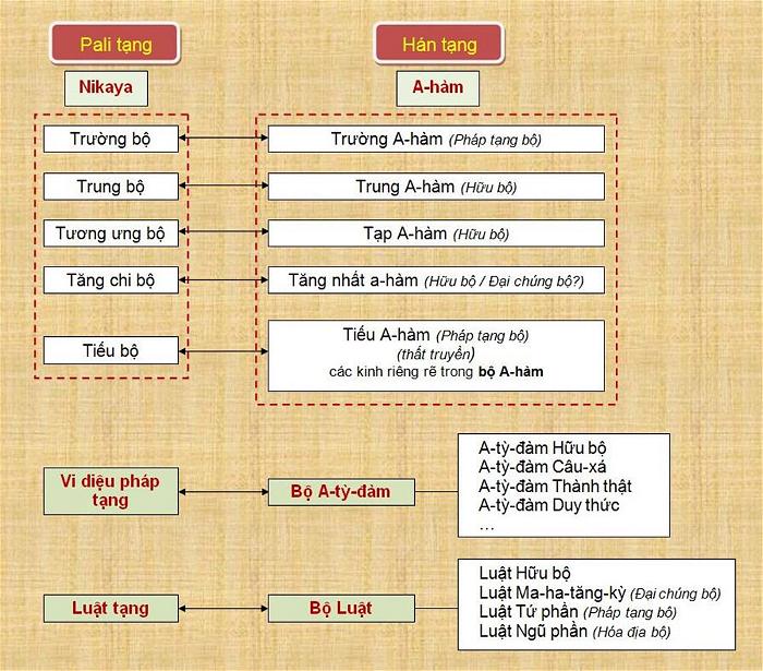 Exam CIS-HAM Simulations | Sample CIS-HAM Questions & CIS-HAM Valid Test Dumps