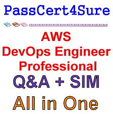 Practice DOP-C01 Test Engine | Amazon New DOP-C01 Exam Objectives