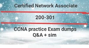 Cisco New 200-301 Exam Online - 200-301 Test Questions Answers