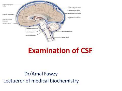 Reliable D-CSF-SC-23 Guide Files - Valid Braindumps D-CSF-SC-23 Sheet