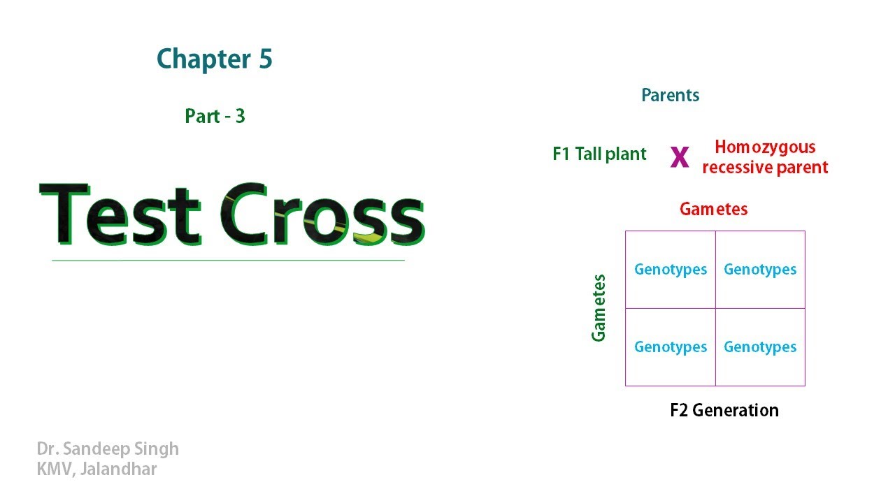 Reliable Advanced-Cross-Channel Test Materials & Advanced-Cross-Channel Latest Test Cram